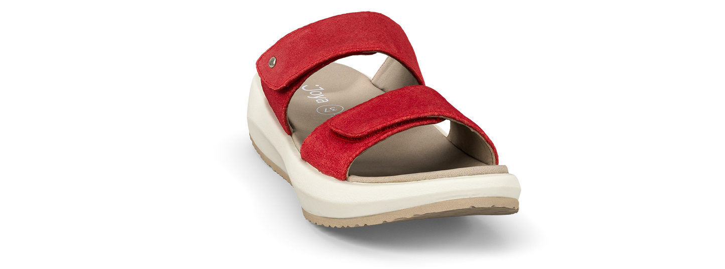 Vienna II Red II