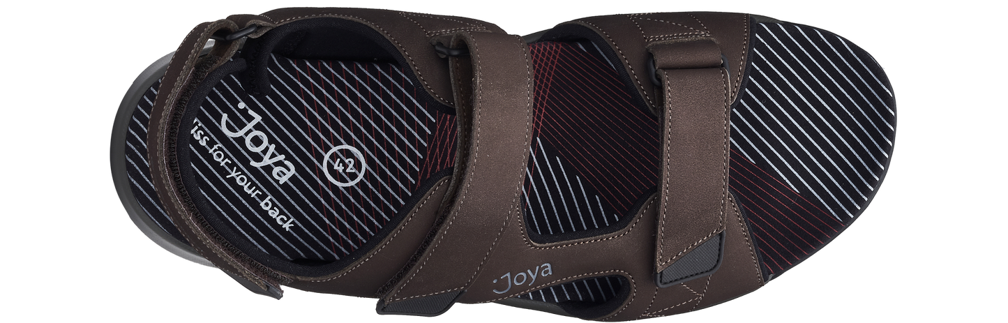 Alexander dark brown