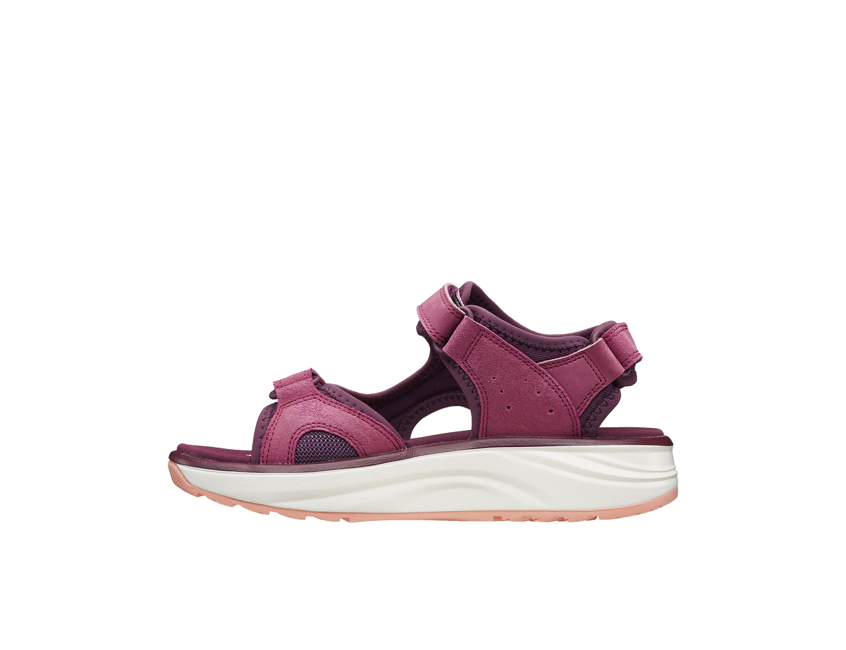 Komodo Violet