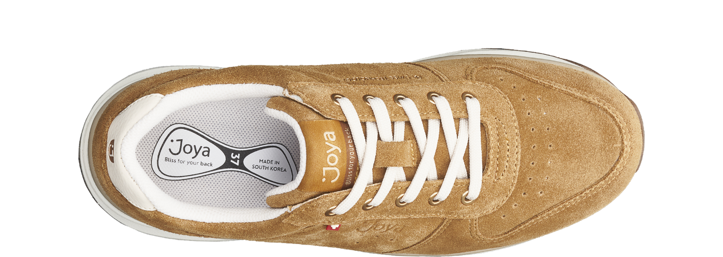 Dynamo Classic dark yellow