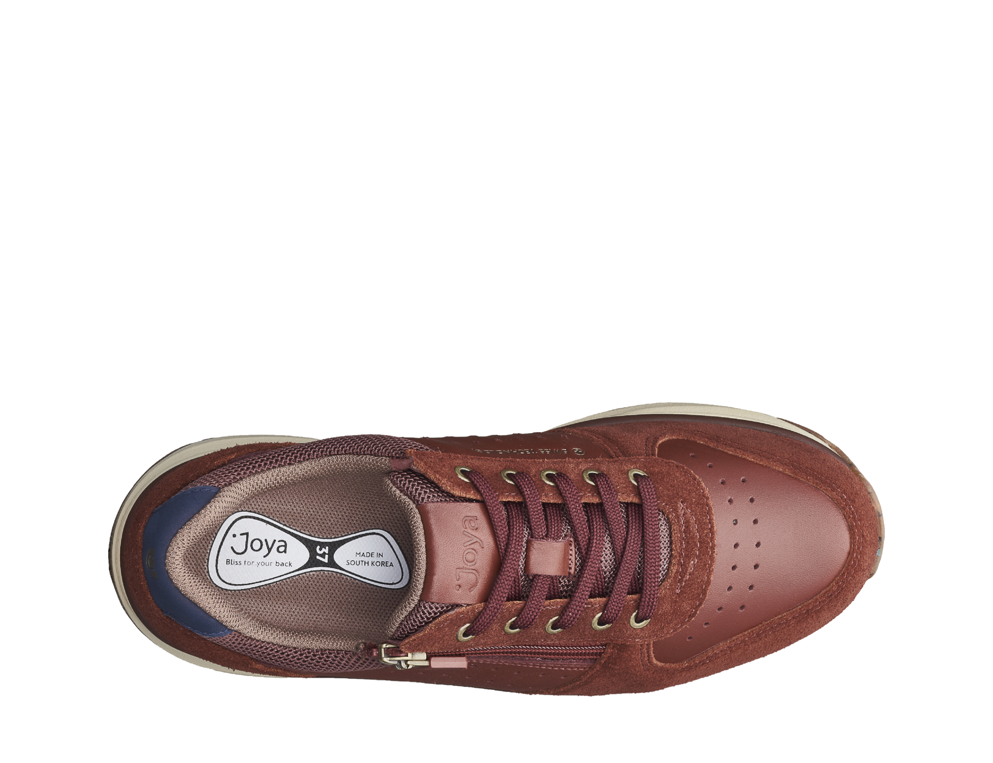 Dynamo Zip W Dark Red