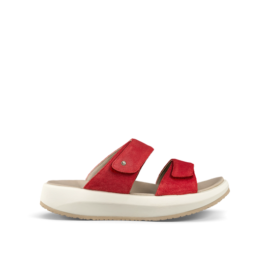 Vienna II Red II