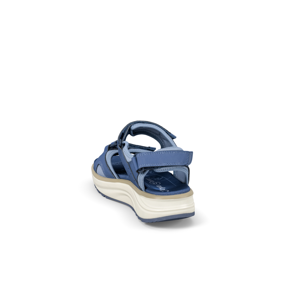 Komodo Blue