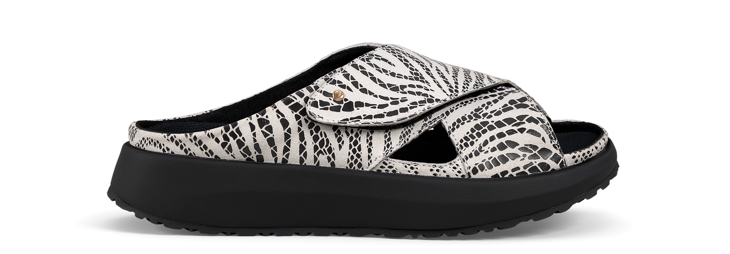 Alicante black-white