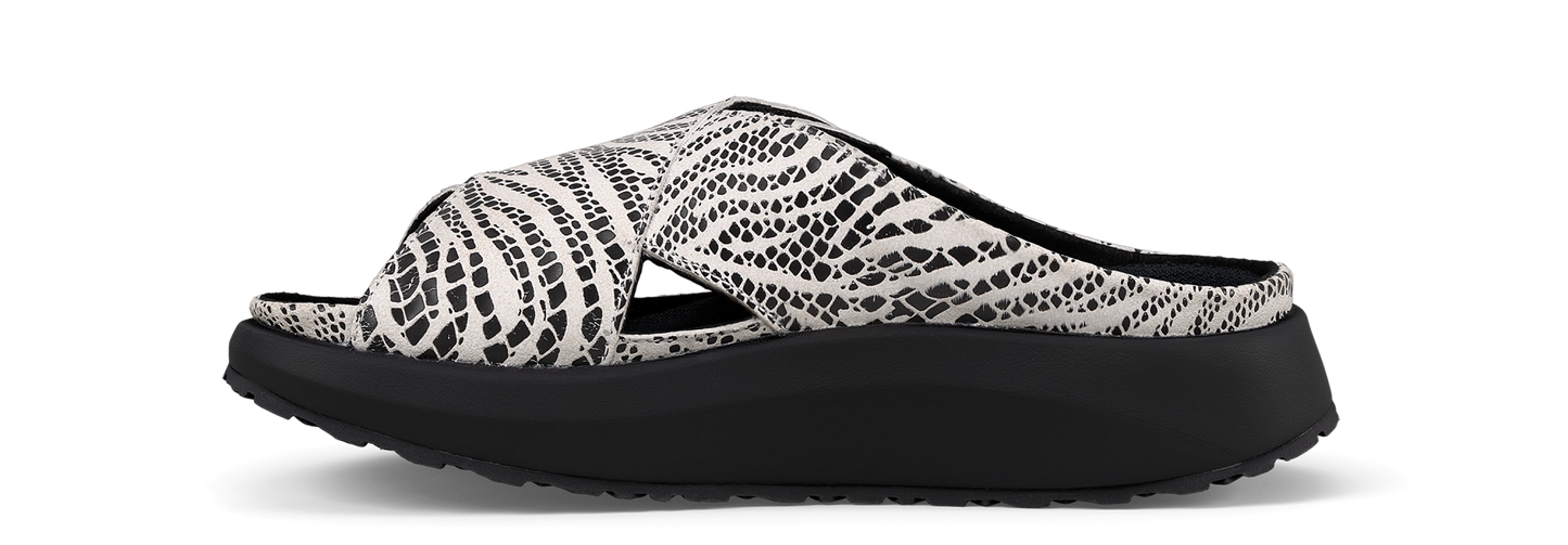 Alicante black-white