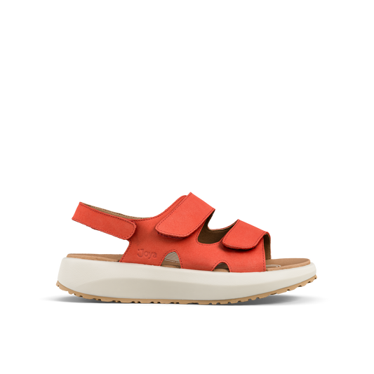 Panama red