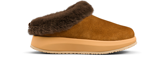 Riga brown II
